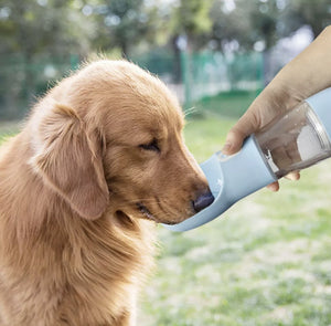 Portable Water & Treat Bottle (2-in-1)