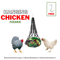 Hanging Chicken Feeder
