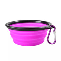 Collapsible Pet Bowl
