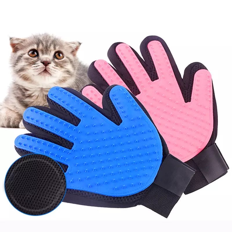 Glove to outlet play with cat