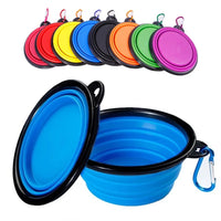 Collapsible Pet Bowl
