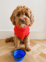 Collapsible Pet Bowl
