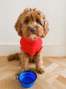 Collapsible Pet Bowl