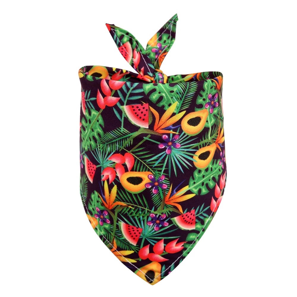 Fruiti-Licious Pet Bandanna