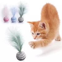 Feather Ball Toy
