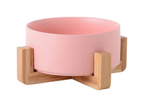 Modern Ceramic Pet Bowl
