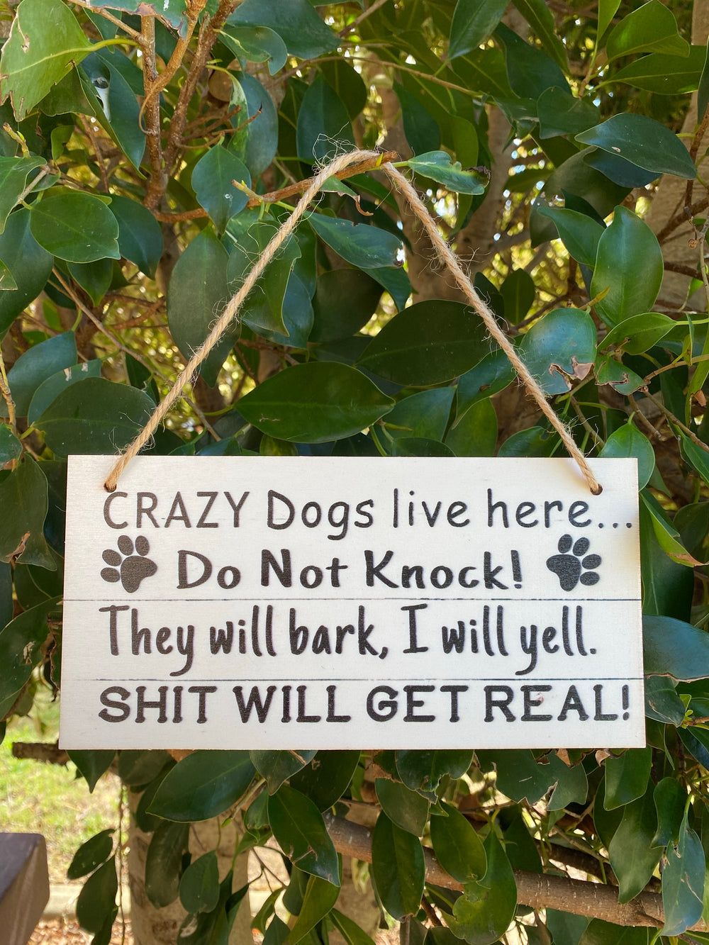 Crazy dogs live here