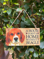 A house is not a home without a Beagle
