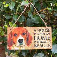 A house is not a home without a Beagle