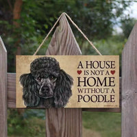 A house is not a home without a Poodle